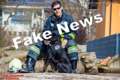 Rettungshundefake