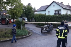 Baumretour300519_UnterM1