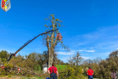 BaumStMarienkirchen040419_FF_03