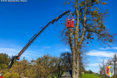 BaumStMarienkirchen040419_FF_06