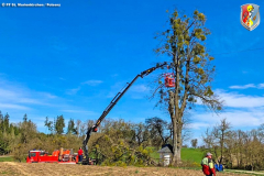 BaumStMarienkirchen040419_FF_10