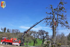 BaumStMarienkirchen040419_UnterMarkus