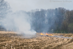 Feldbrandufer050419_Kollinger-2