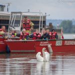 Donauauto_Aschach_050614_Kolli-67