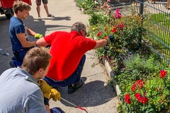 SchlangeAham060819_Muhlbauer1