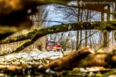 Sturmbaum100220_Kollinger-1