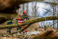 Sturmbaum100220_Kollinger-2