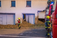 Rueben_Scharten111120_Kollinger-3