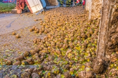 Rueben_Scharten111120_Kollinger-6