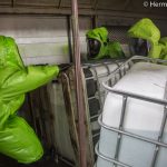 Gefahrgutuebung_Lagerhaus180415_Kolli-130