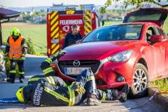 PkwWinkeln180519_Kollinger-5