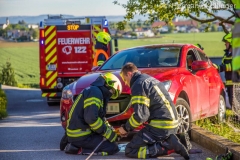 PkwWinkeln180519_Kollinger-6