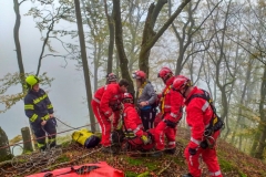 Person_Kuernbergwald_181019_Wu_10