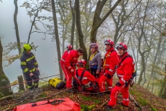 Person_Kuernbergwald_181019_Wu_11
