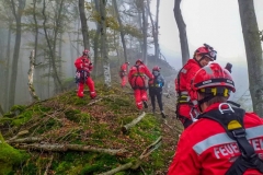 Person_Kuernbergwald_181019_Wu_12