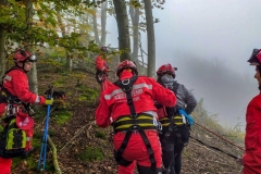 Person_Kuernbergwald_181019_Wu_13