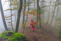 Person_Kuernbergwald_181019_Wu_4