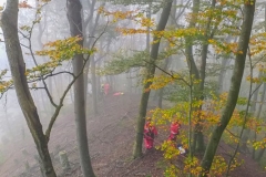 Person_Kuernbergwald_181019_Wu_8