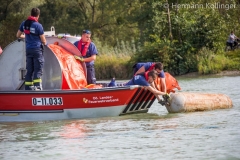 OelwehrDonauz19092020_Kollinger-37