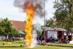 Polsing_Ferienprogramm2019_2