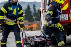 BDLP301119_Kollinger-7