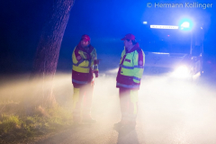 Branddienstübung in Polsing