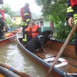 hochwasser_juni2013_41