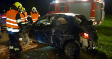 Unfall / Foto: FF Polsing