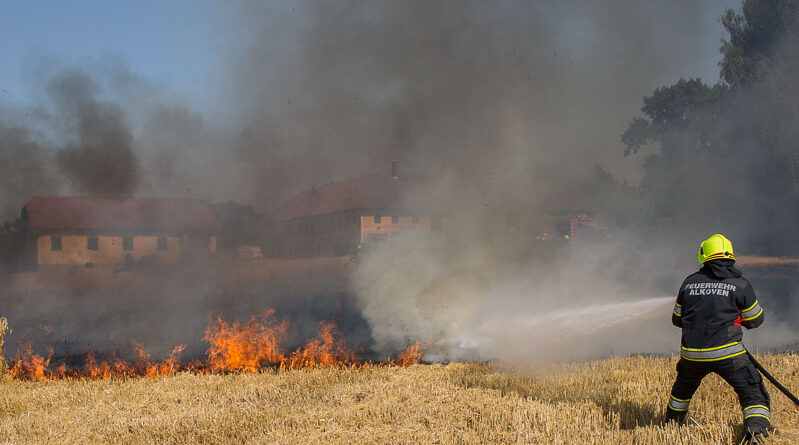 Feldbrand / Foto: Kollinger