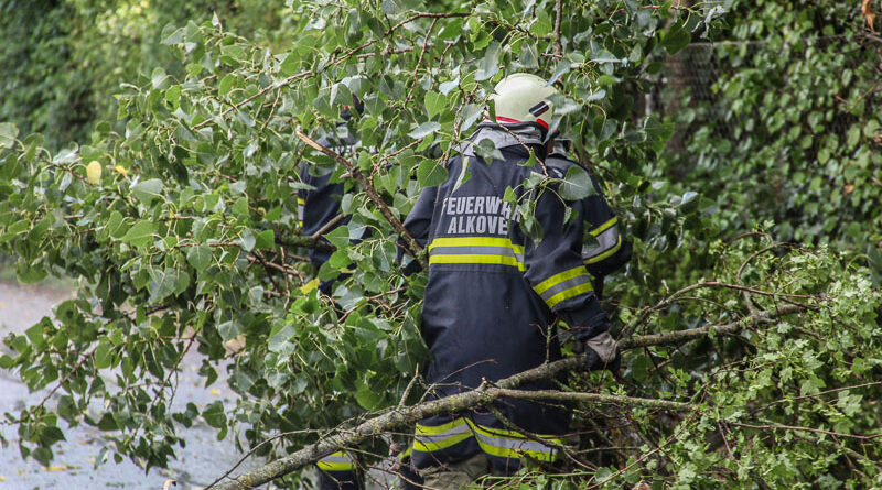 Sturm (Foto: Kolli)