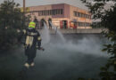 Wiesenbrand (Foto: Kolli)