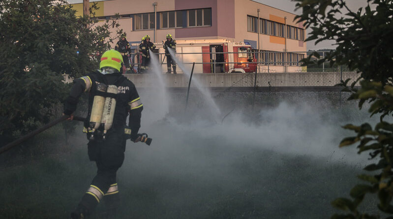 Wiesenbrand (Foto: Kolli)