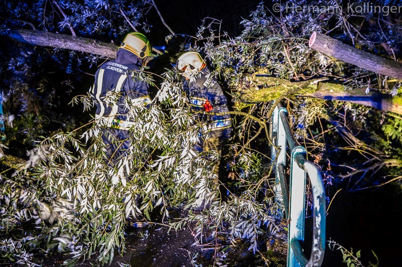 19.08.2017: Unwettersturm: Dachschaden, umgestürzte Bäume → 11 Einsätze