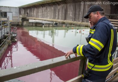 Ölwehr-Donau-Einsatz / Foto: Kollinger