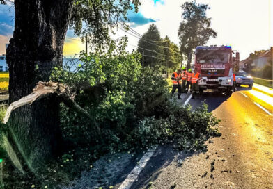 Sturmschaden / Mühlbauer