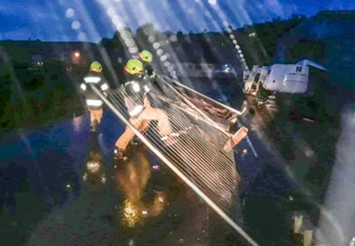 Sturmschaden / Unter Markus