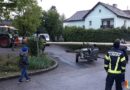 30.04.2019: Feuerwehr retourniert gefladerten Maibaum