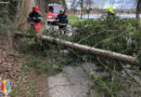 11.02.2020: Umgestürzter Baum in Gstocket