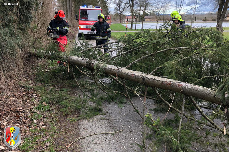 11.02.2020: Umgestürzter Baum in Gstocket