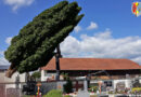 12.05.2020: Ein unterstützender Kran-Job am Friedhof