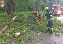 11.05.2020: Sturmschaden in Gstocket