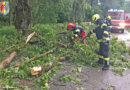 11.05.2020: Sturmschaden in Gstocket