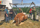 08.07.2020: Hochträchtige Kuh in Pupping mit Kran und Garagentor gerettet