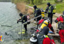 Sieben Alkovener Feuerwehrtaucher beim „Antauchen 2022“ im Ausee dabei