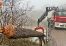 26.12.2022: Verklausung durch Baum bei der Aschachbrücke