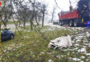 24.01.2023: Autobergung in Forst