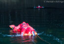 09.02.2023: Eisretterschulung wird mehr zum Schwimmertraining