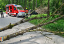 20.05.2023: Ausflügler-Stau bei umgestürzten Baum in Gstocket