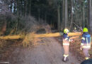 22.12.2023: Sturmeinsätze in Forst, Hartheim und Winkeln