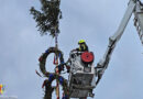 16.05.2024: Absturzgefährdete Maibaum-Ringe durch Windböen → Traditionsgewächs entfernt